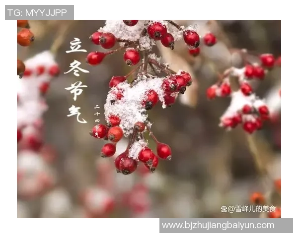 立冬|立冬不“猫冬”!羽毛球才是“燃冬”的瑰宝运动